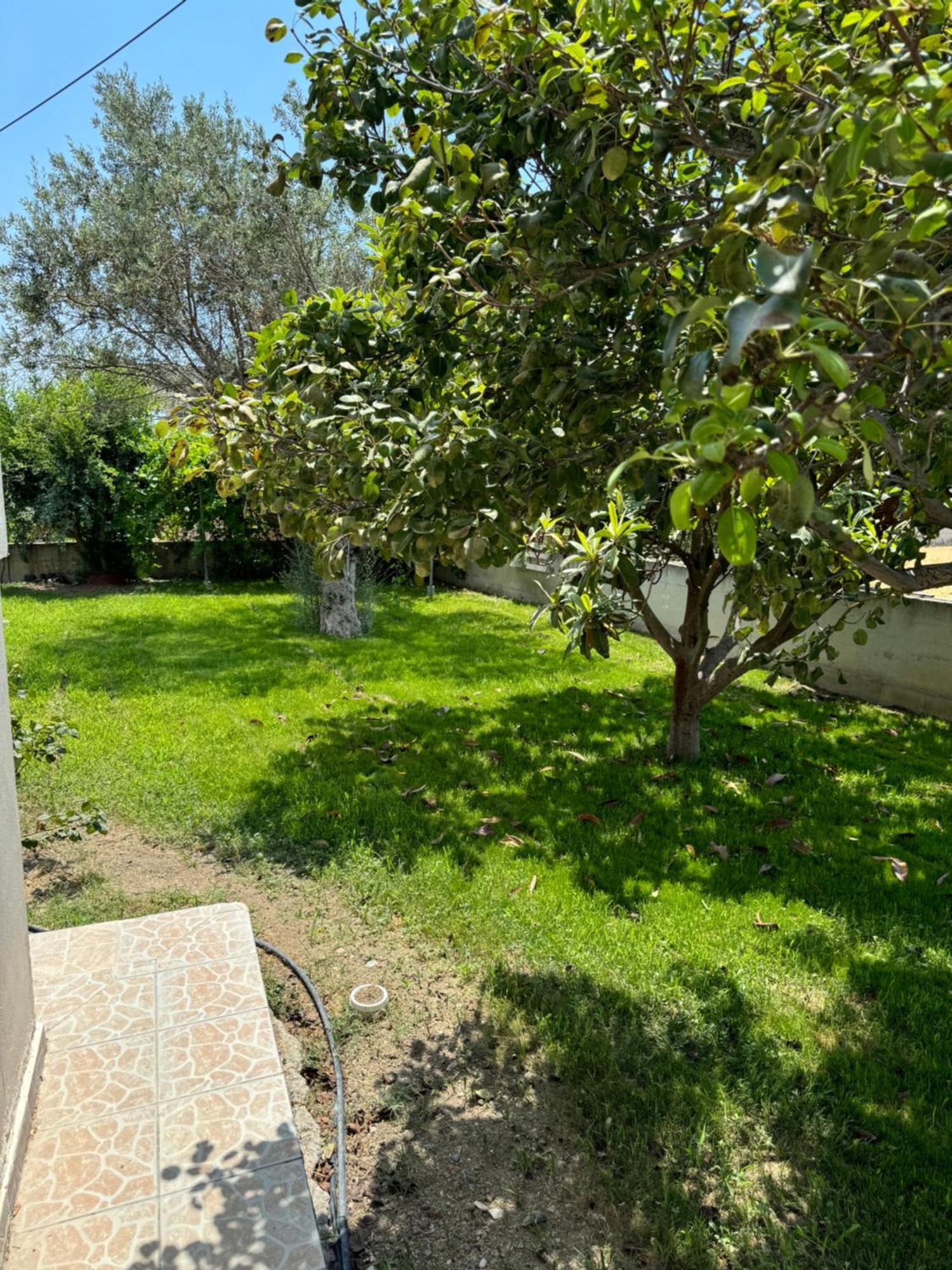Fotis House Appartement Afantou Buitenkant foto